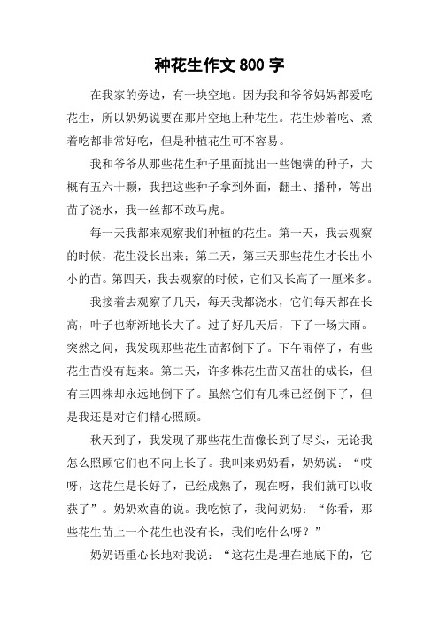 种花生作文800字 在我家的旁边,有一块空地.