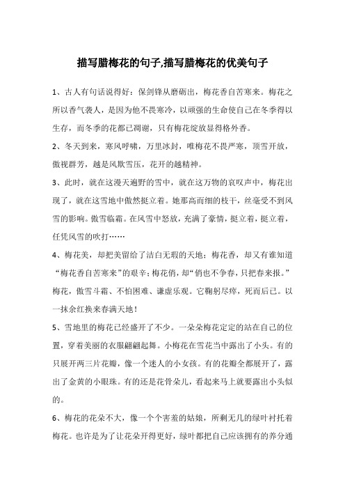 1,古人有句话说得好:保剑锋从磨砺出,梅花香自苦寒来.