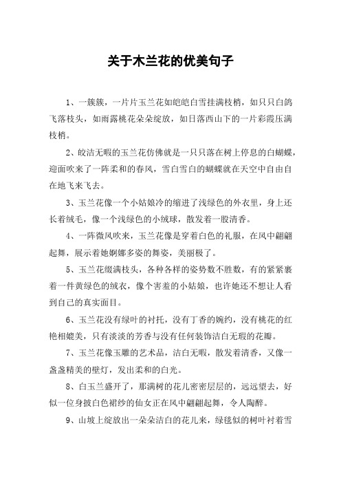 关于木兰花的优美句子 1,一簇簇,一片片玉兰花如皑皑白雪挂满枝梢,如