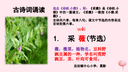 小雅》.即:《采薇》是《诗经.小雅》中的一篇课文.