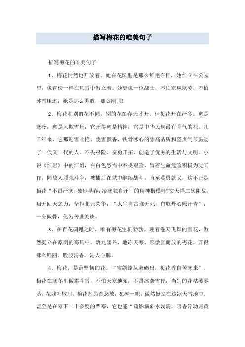 2,梅花和别的花不496_702竖版 竖屏