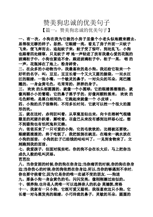 赞美狗忠诚的优美句子 【篇一:赞美狗忠诚的优美句子】 一,有一次