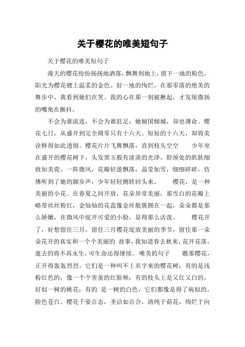 阳光为樱花镀上温柔的金色.