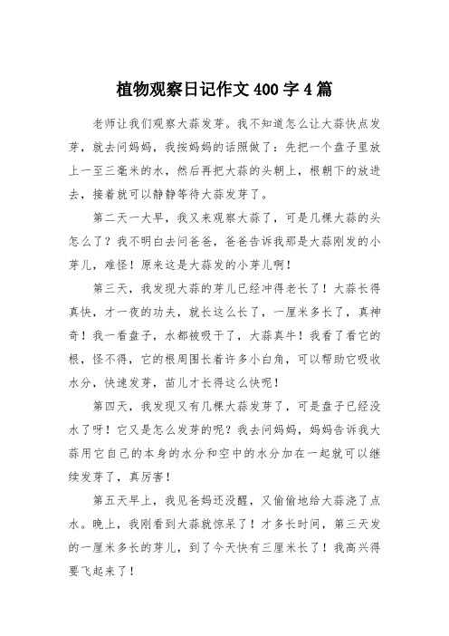 植物观察日记作文400字4篇 老师让我们观察大蒜发芽.