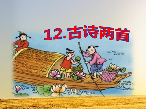 课文详解 现在已是初夏时节,星期天我路过 南湖边的一个小池塘时,看到