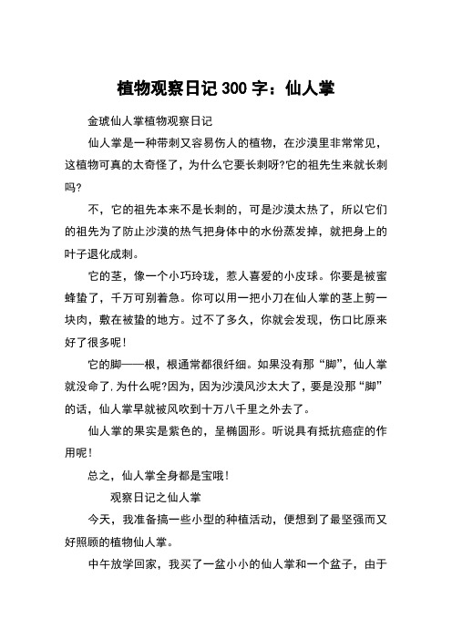 植物观察日记300字:仙人掌 金琥仙人掌植物观察日记仙人掌是一种带刺