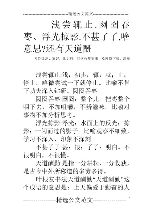 浅尝辄止.囫囵吞枣,浮光掠影.不甚了了,啥意思?