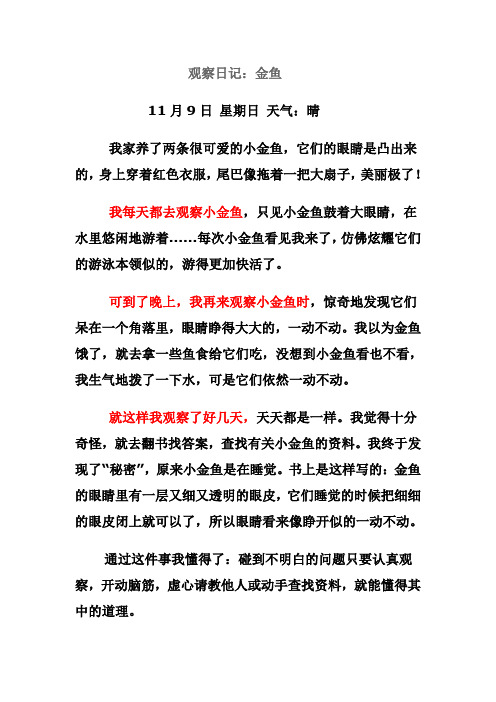 观察日记一天完成(观察日记写一天的事情)