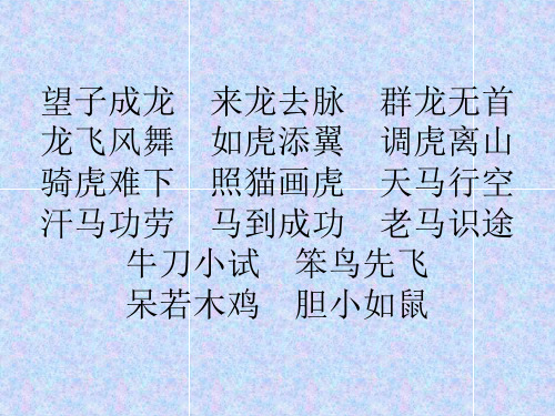 望子成龙 来龙去脉 群龙无首 龙飞风舞 如虎添翼 调虎离山 骑虎难下