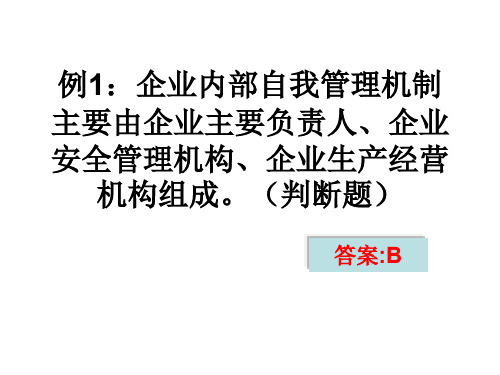 例1:企業內部自我管理機制 主要由企業主要負責人,企業 安全管理機構