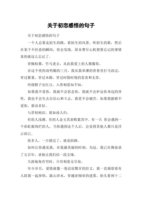 关于初恋感悟的句子 关于初恋感悟的句子一个人总要走陌生的路,看陌生