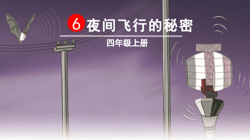 6 夜间飞行的秘密 四年级上册 新课导入 蝙蝠是一种夜间飞行的哺乳