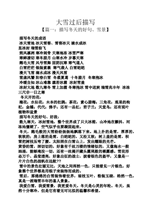 大雪过后描写 【篇一:描写冬天的好句,雪景】 描写冬天的成语 冰天