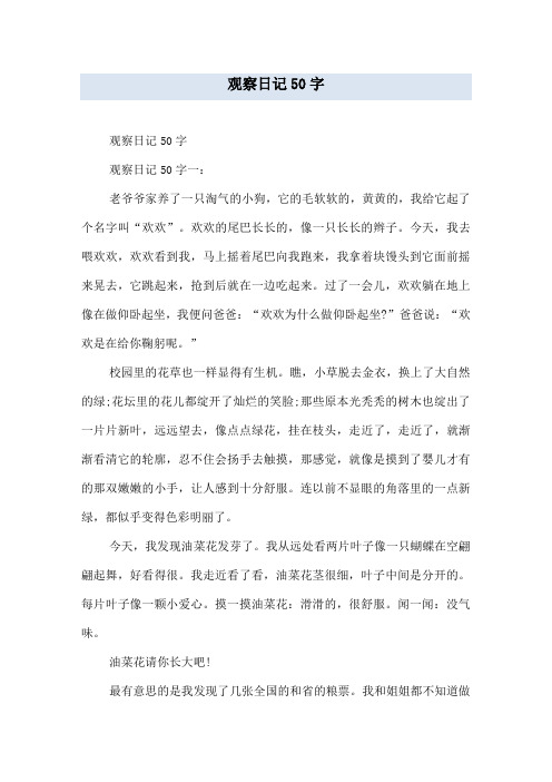 观察动物日记50字 - 百度文库