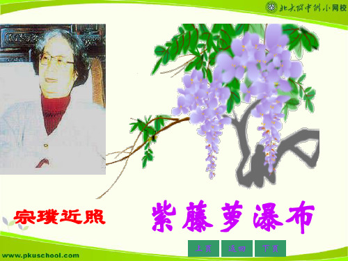 宗璞近照 紫藤萝瀑布 上页 返回 下页 宗璞简介 宗璞, 现代女作家.