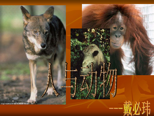 人与动物的区别 - 百度文库