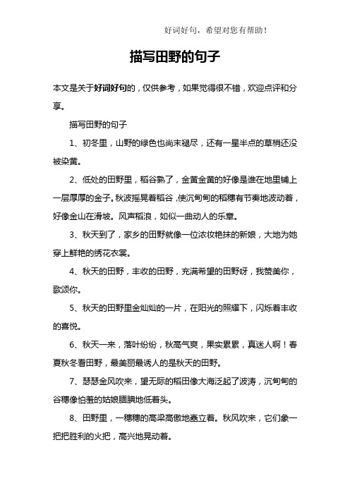 描写稻田的优美句子 - 百度文库