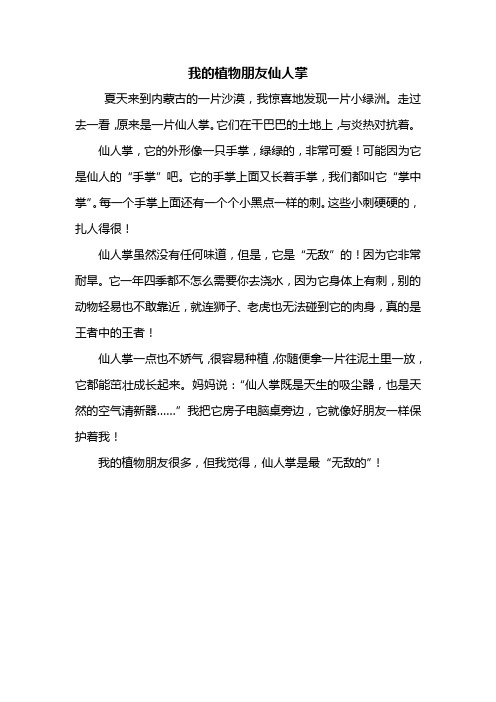 我的植物朋友仙人掌 夏天来到内蒙古的一片沙漠,我惊喜地发现一片