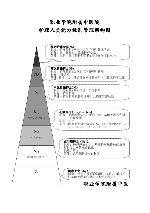 职业学院附属中医院 护理人员能力级别管理架构图 职业学院附属中医院