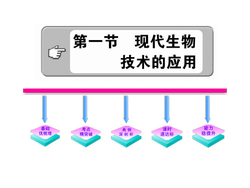 现代生物技术的核心 - 百度文库