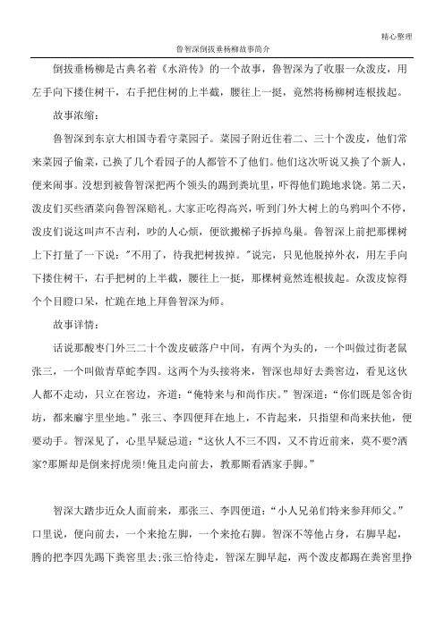 故事浓缩: 鲁智深到东京大496_702竖版 竖屏