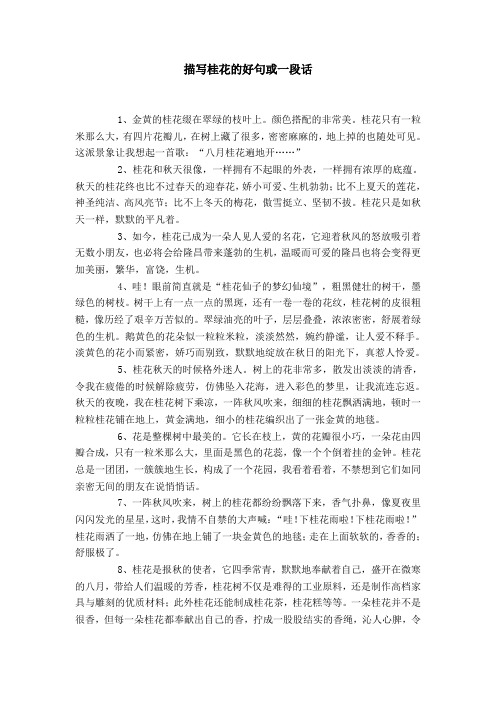 这派景象让我想起一首歌:"八月桂花496_702竖版 竖屏