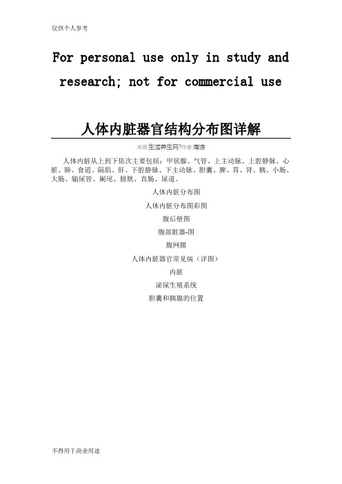 肝,下腔静脉,下主动脉,胆囊,脾,胃,肾,胰,小肠,大肠,输尿管,阑尾,膀胱