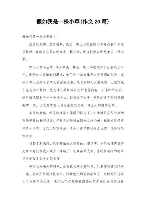 我是一棵小草想象作文 - 百度文库