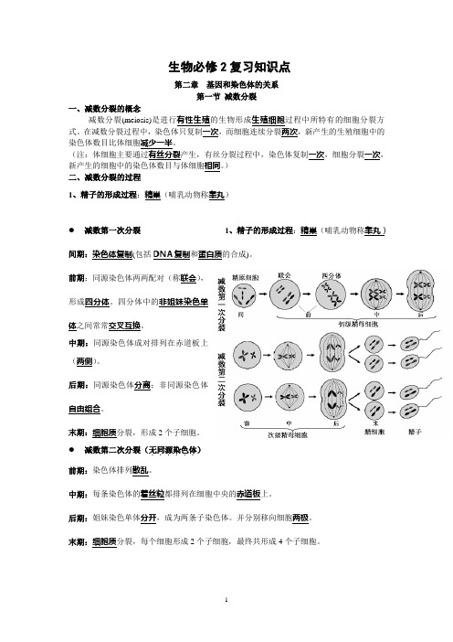 生物必修2复习知识点 第二章基因和染色体的关系 第一节减数分裂 一