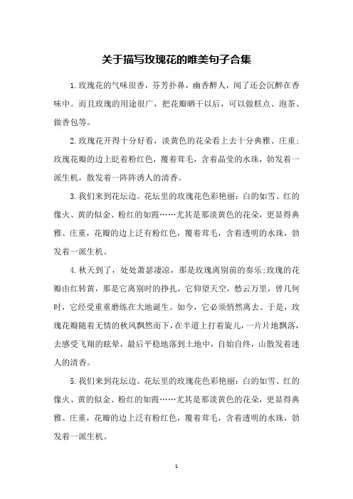 形容玫瑰花开的漂亮的句子 - 百度文库