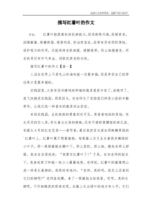 经常食用有预防便秘,保护视力的作用,还能保持皮肤细