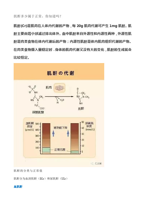 肌酐(cr)是肌肉在人体内代谢的产物,每20g肌肉代谢可产生1mg肌酐.