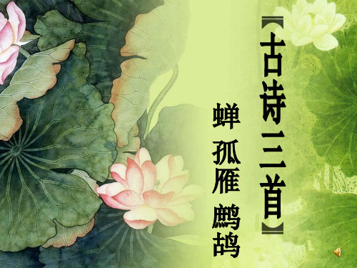  古诗三首《蝉》《孤雁》《鹧鸪》