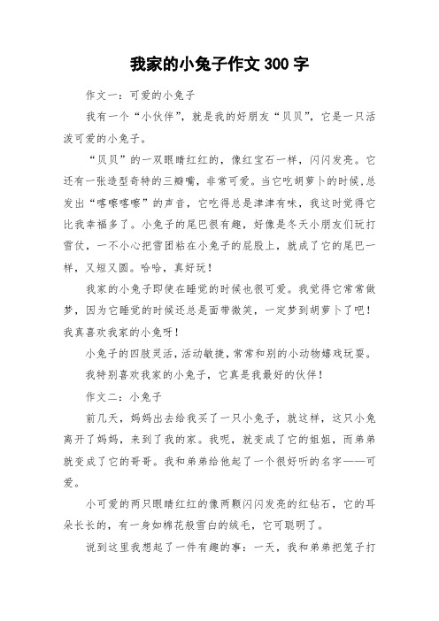 我家的小白兔作文300字 - 百度文库
