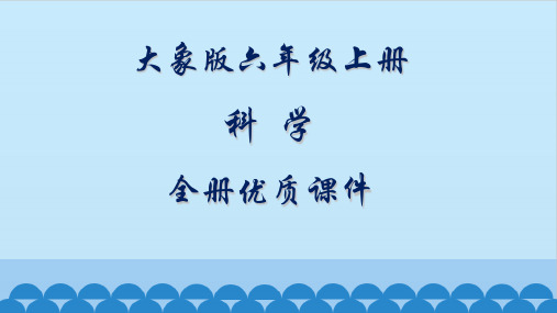 大象版六年级上册 科学 全册优质课件 植物角里的科学问题 观察与提问