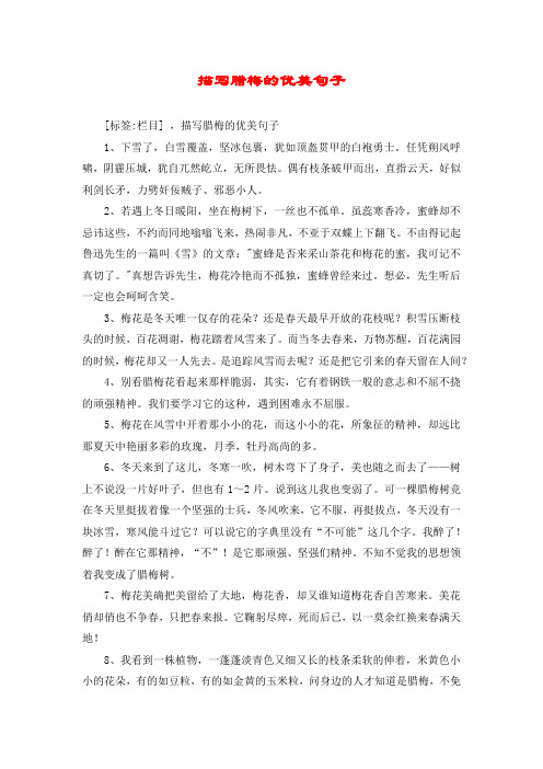 形容梅花傲骨的唯美句子 - 百度文库