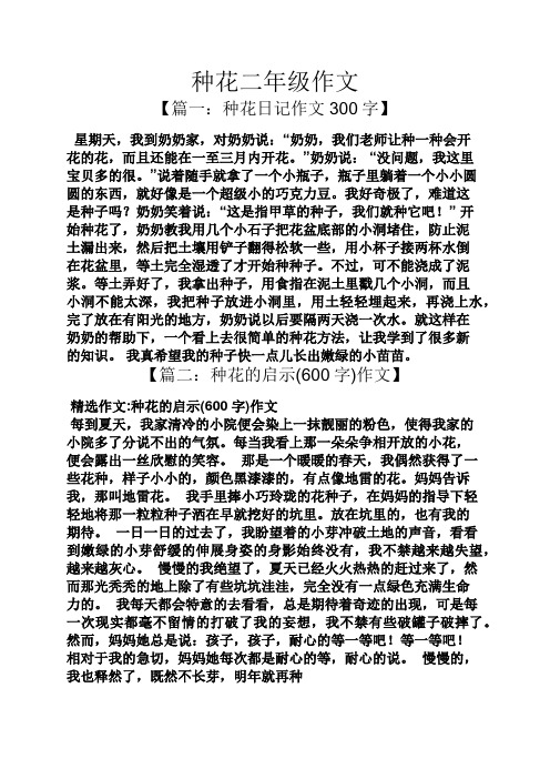 种花二年级作文 【篇一:种花日记作文300字】 星期天,我到奶奶家,对