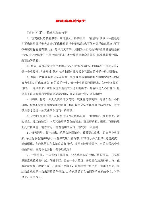 形容玫瑰花开的漂亮的句子 - 百度文库