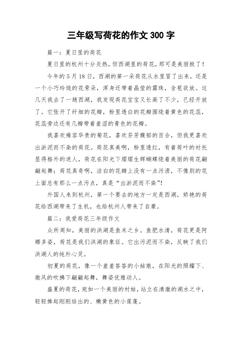 作文荷花300字三年级 - 百度文库