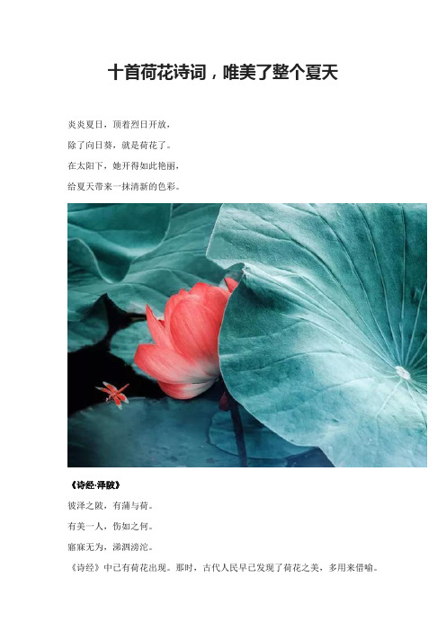 炎炎夏日,顶着烈日开放, 除了向日葵,就是荷花了.