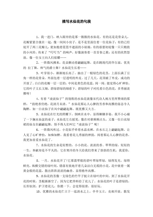 描写水仙花的优美句子 - 百度文库