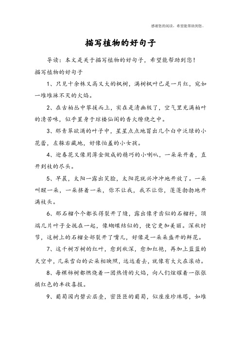 描写植物的好句子1,只见十余株又高又大的枫树