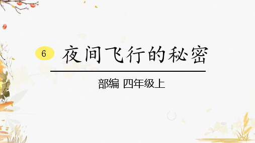 6 夜间飞行的秘密 部编·四年级上 同学们,你们认识蝙蝠和雷达吗?