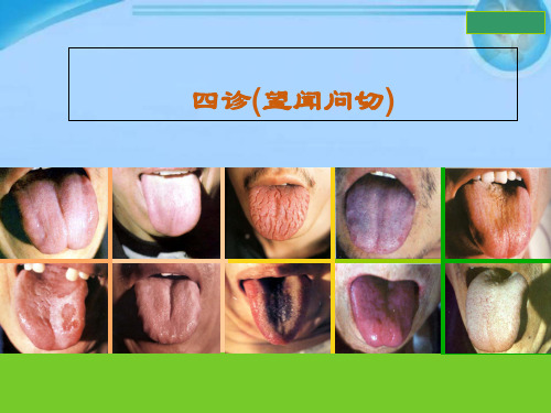 中医四诊 第一节 望诊 第二节 闻诊 第三节 问诊 第四节 切诊