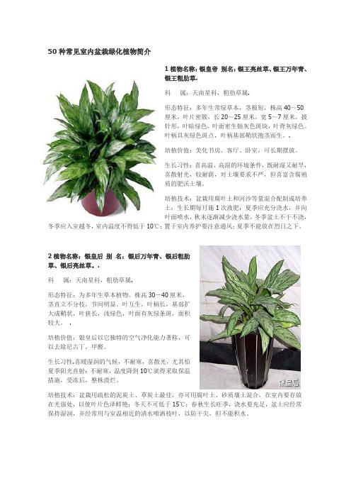 18种常见室内植物的功效 百度文库