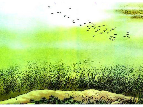 1 春草 秋草 夏草 冬草2 草 (白居易) 3 4 1,我会正确朗读古诗.