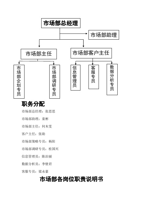 职务分配 市场部总经理:张思思 市场部助理:童彬 市场部主任:何木雯