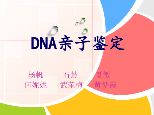 dna亲子鉴定 杨帆 何妮妮 石慧 武荣梅 夏敏 黄梦霞 亲子鉴定 的发展