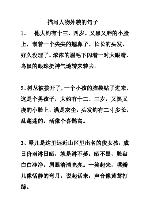 又黑又胖的小脸上,嵌着一个尖尖的翘鼻子.长长的头发,好久没理了.