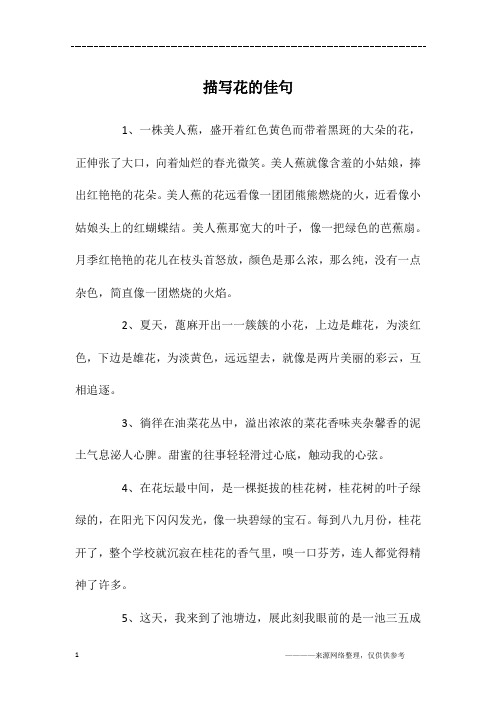 美人蕉就像含羞的小姑娘,捧出红艳艳的花朵.